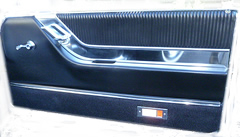 thunderbird door panel